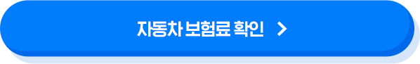 자동차 보험료 확인
