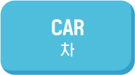 CAR 차