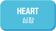 HEART 심장