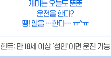 개미는 오늘도 뚠뚠 운전을 한다? 땡! 일을..한다..ㅠ^ㅠ 힌트:만 18세 이상 '성인'이면 운전 가능