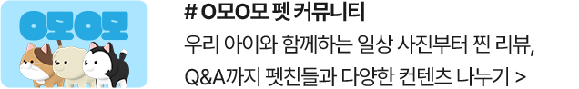 O모O모 펫 커뮤니티